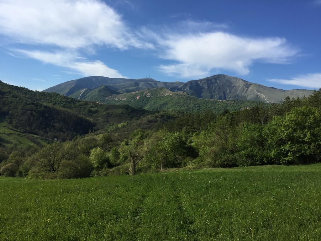 Agriturismo La Ferraia Pianello  Экстерьер фото