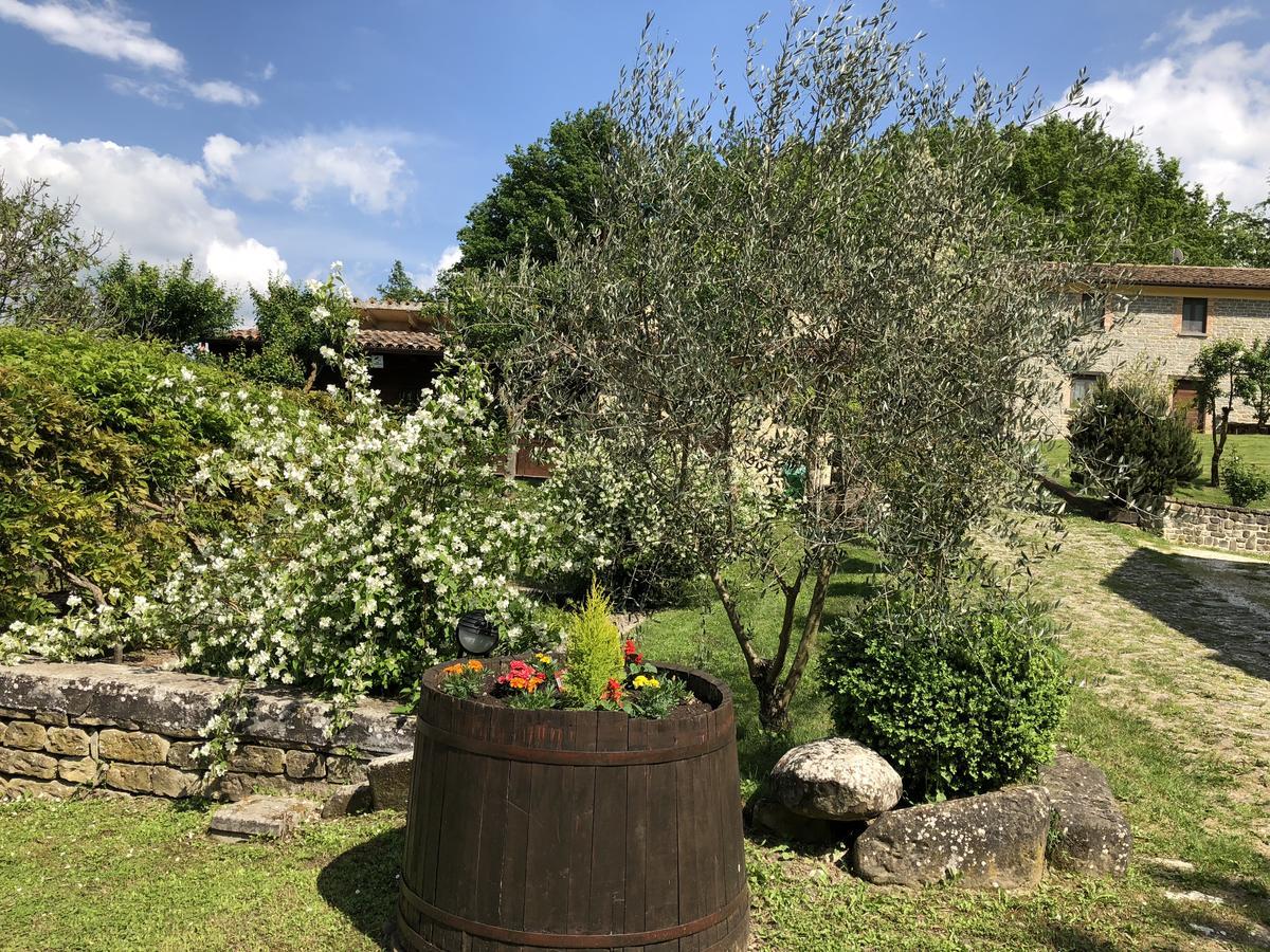 Agriturismo La Ferraia Pianello  Экстерьер фото