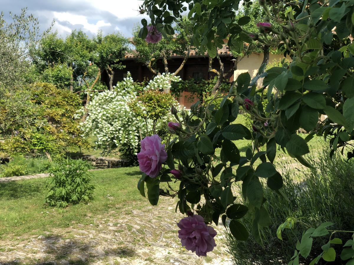 Agriturismo La Ferraia Pianello  Экстерьер фото